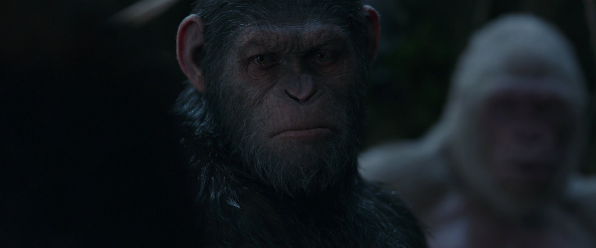 War for the Planet of the Apes (2017) movie still 1108