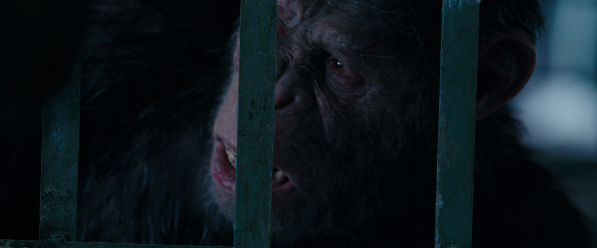 War for the Planet of the Apes (2017) HD screenshot 11084