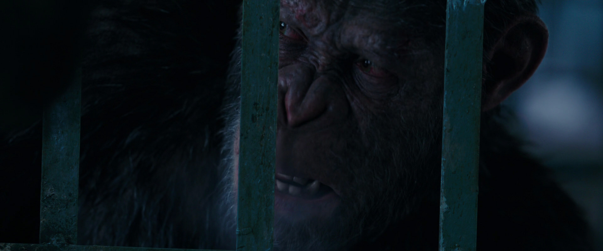 War for the Planet of the Apes (2017) screencap 11085