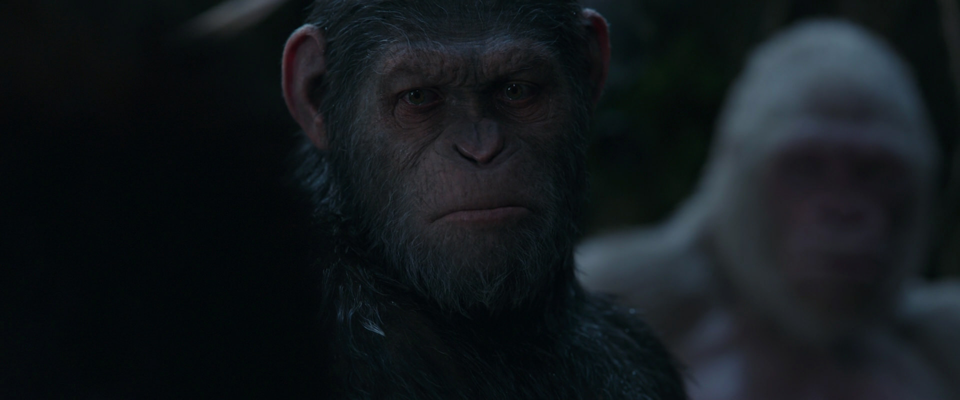 War for the Planet of the Apes (2017) HD screenshot 1109