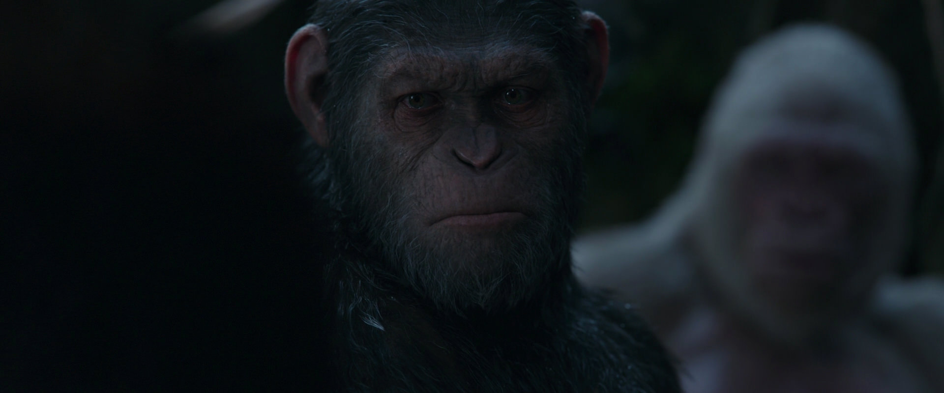 War for the Planet of the Apes (2017) screencap 1110
