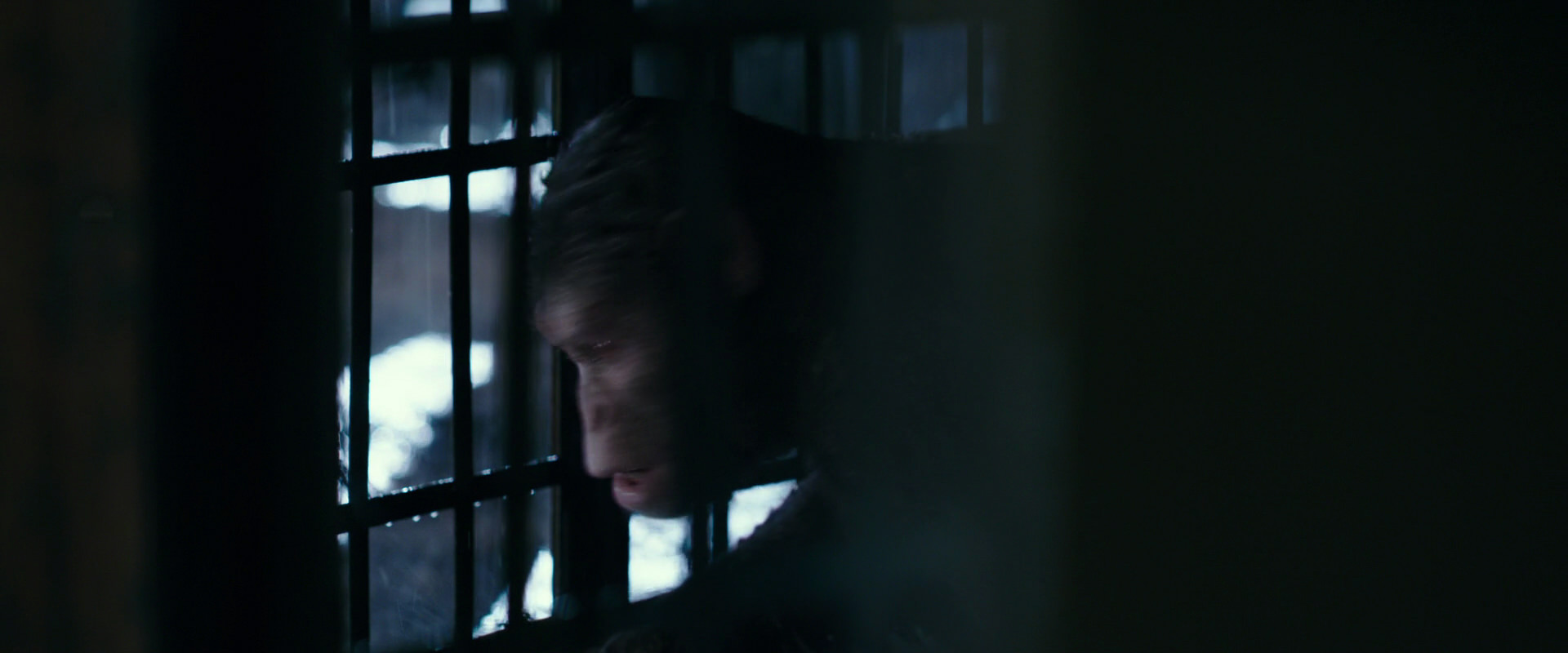 War for the Planet of the Apes (2017) screencap 11103