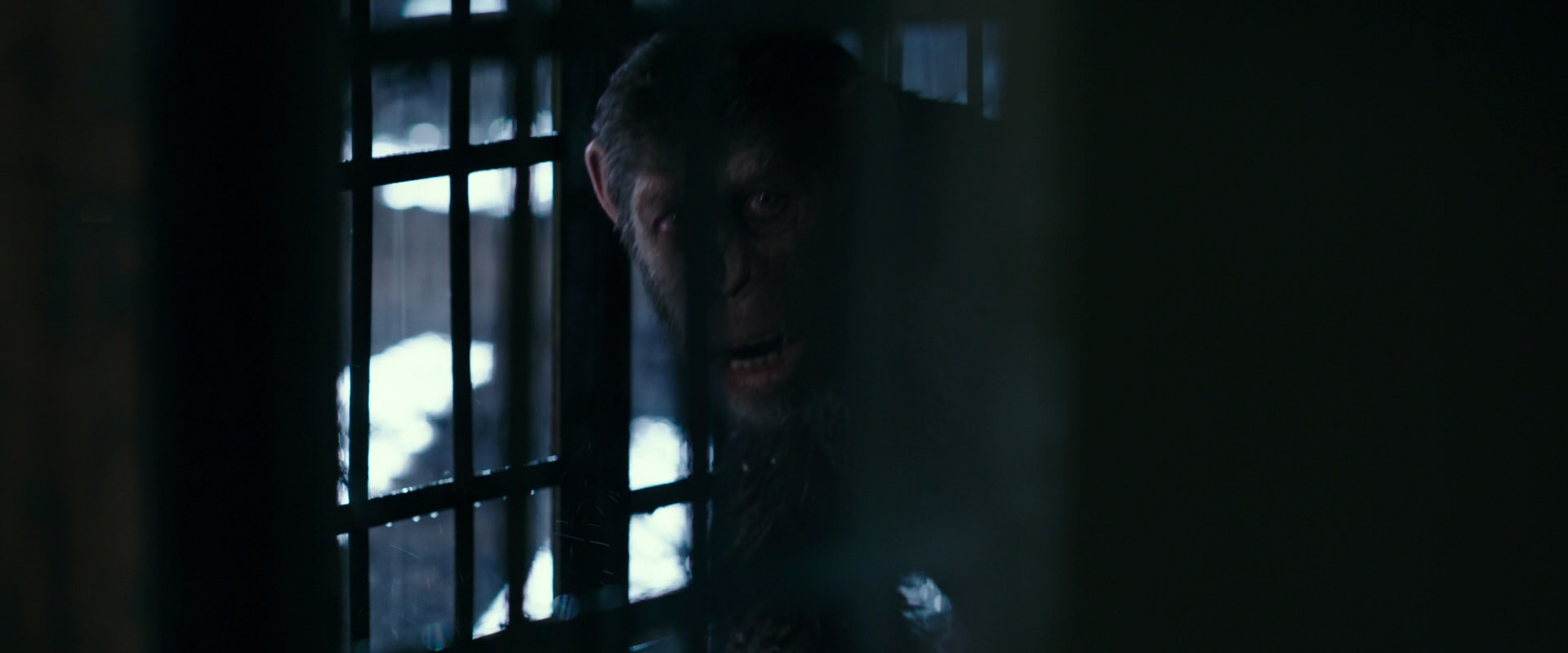 War for the Planet of the Apes (2017) movie still 11104