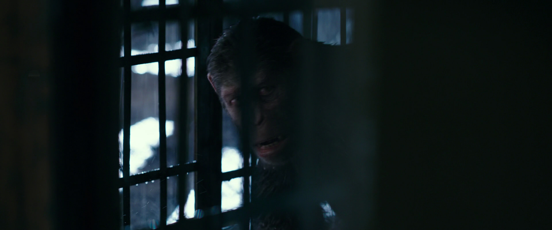 War for the Planet of the Apes (2017) HD screenshot 11105