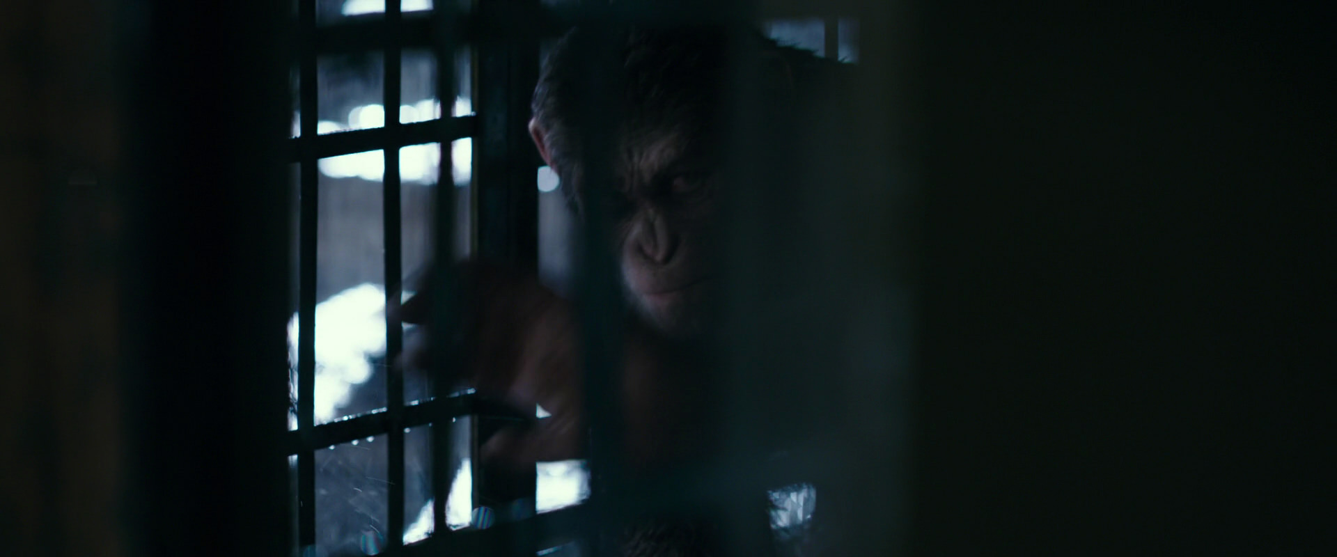 War for the Planet of the Apes (2017) screencap 11106