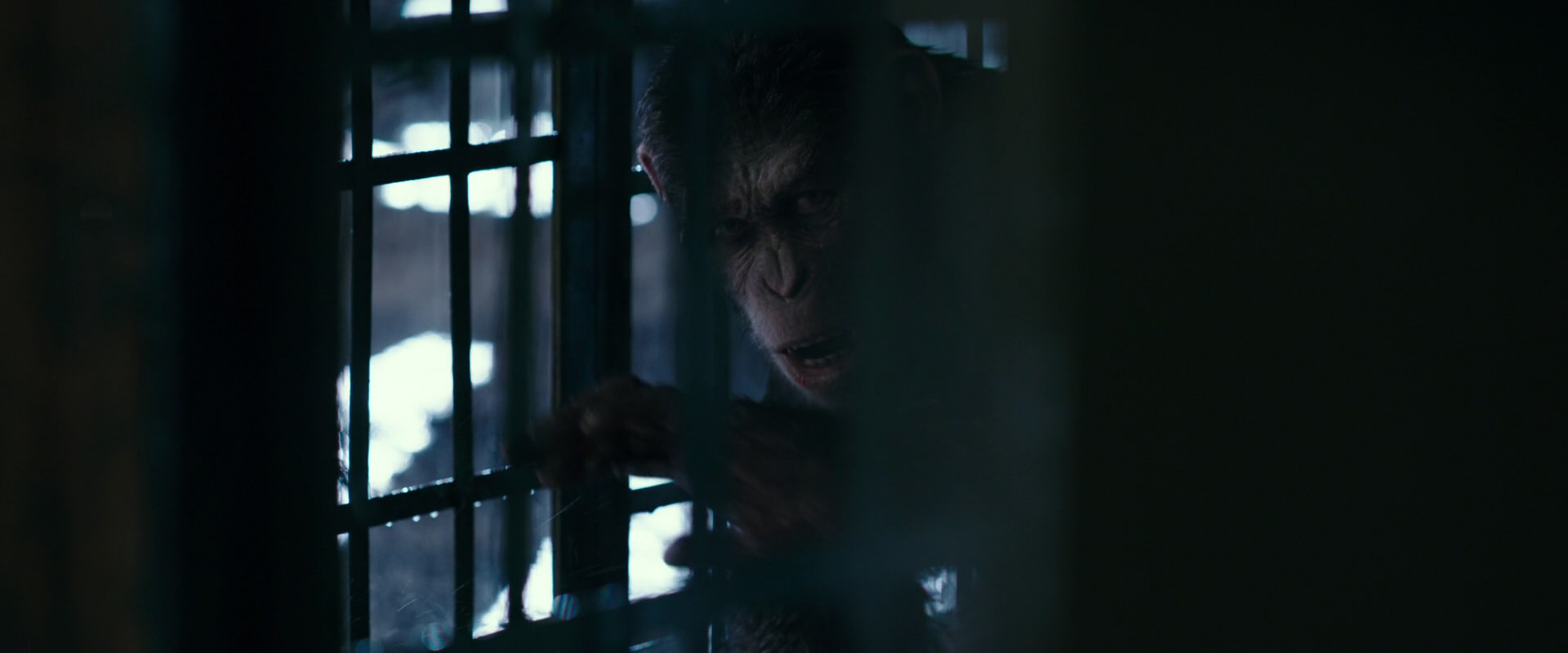 War for the Planet of the Apes (2017) movie still 11107