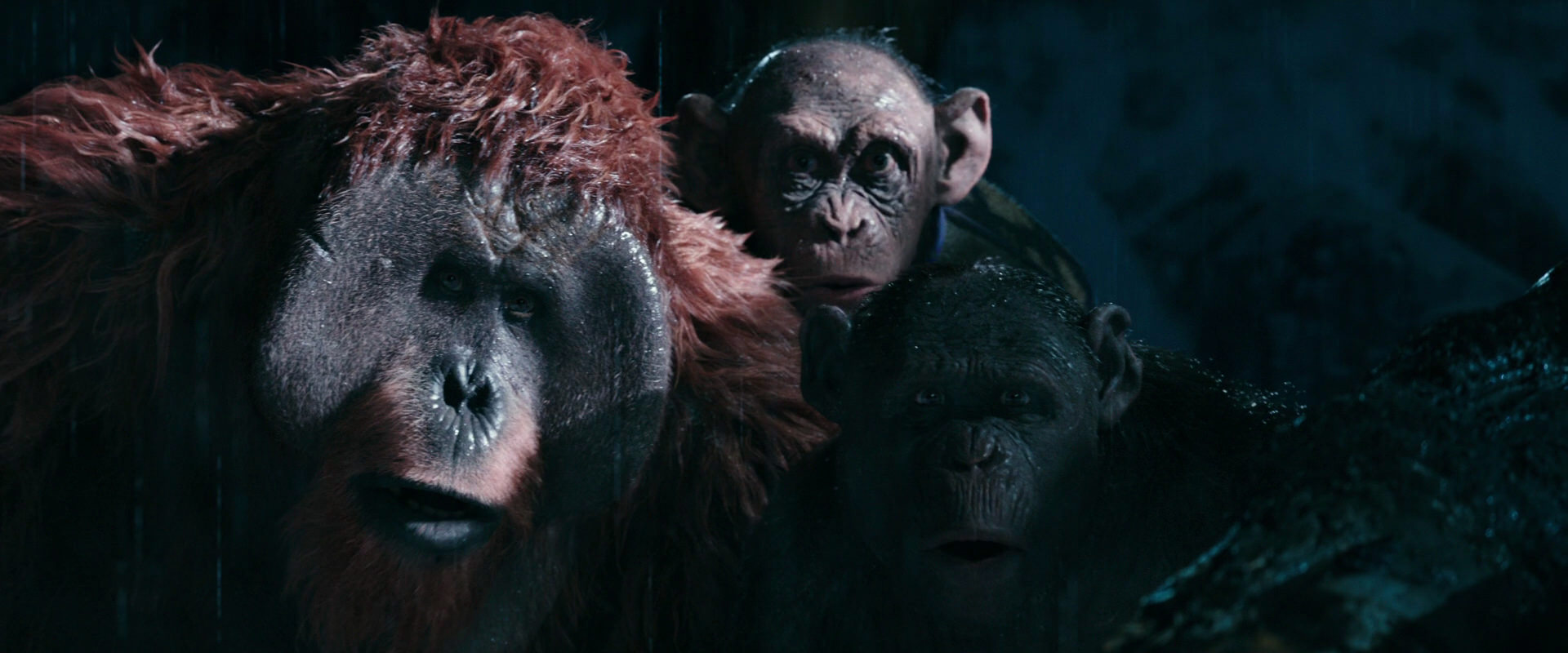 War for the Planet of the Apes (2017) screencap 11109