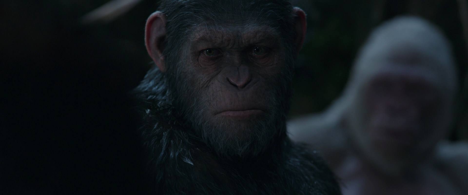 War for the Planet of the Apes (2017) movie still 1111