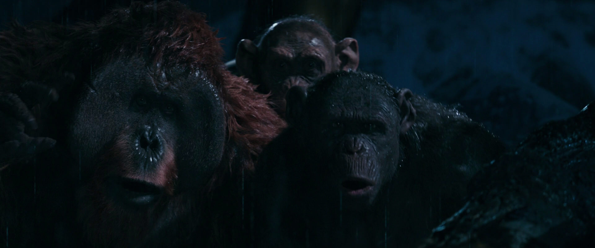 War for the Planet of the Apes (2017) movie still 11110