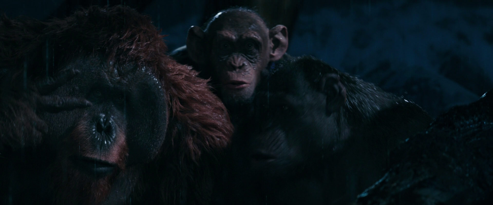 War for the Planet of the Apes (2017) HD screenshot 11111