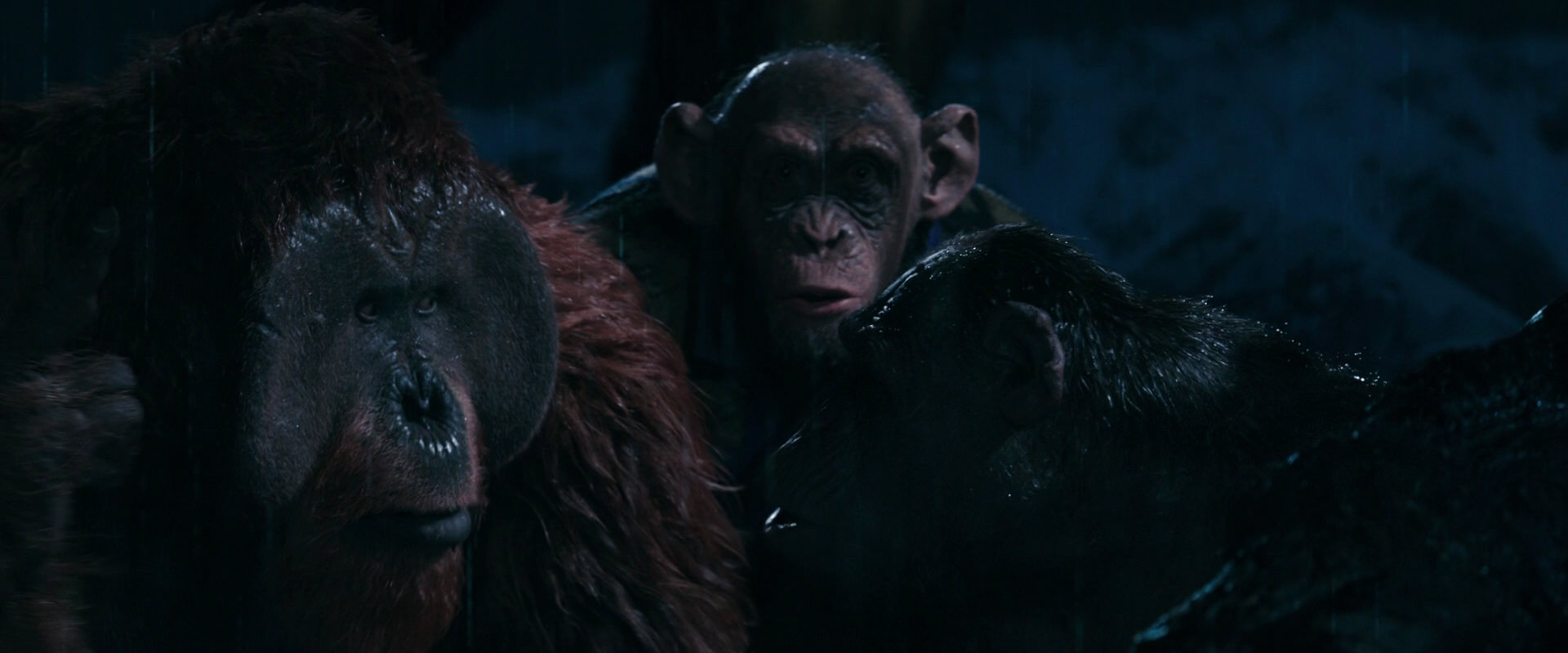 War for the Planet of the Apes (2017) screencap 11112