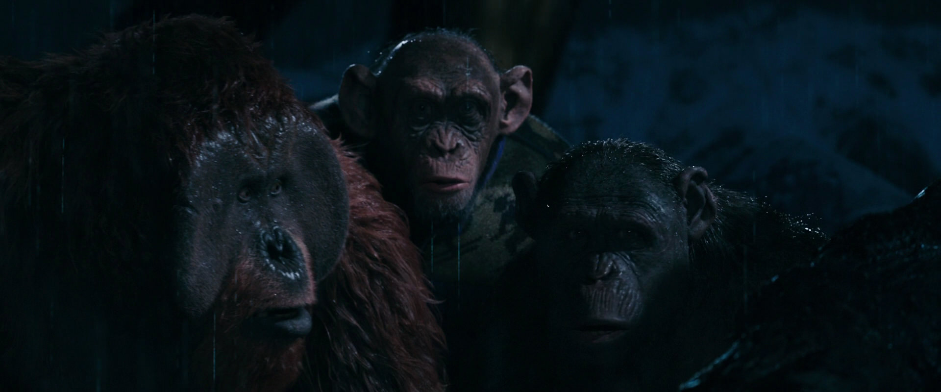 War for the Planet of the Apes (2017) movie still 11113