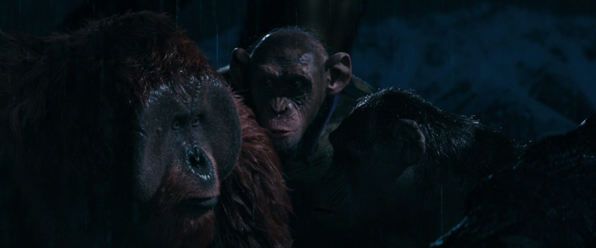 War for the Planet of the Apes (2017) HD screenshot 11114