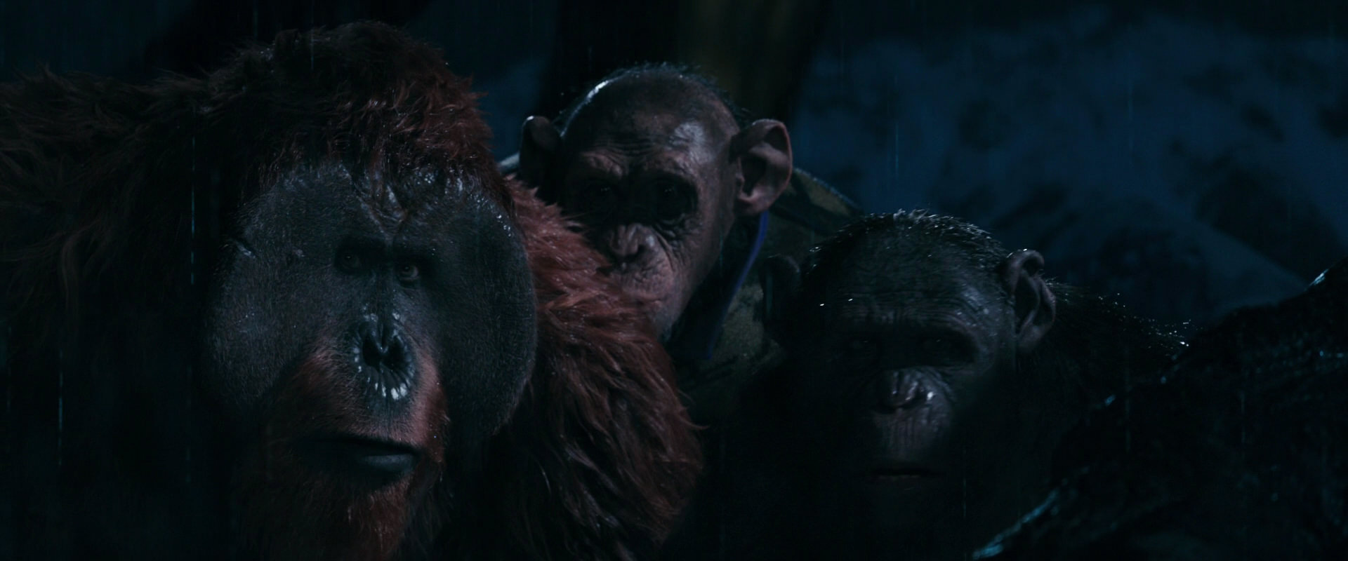 War for the Planet of the Apes (2017) screencap 11115