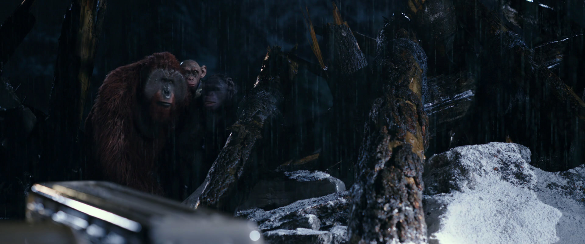 War for the Planet of the Apes (2017) movie still 11116