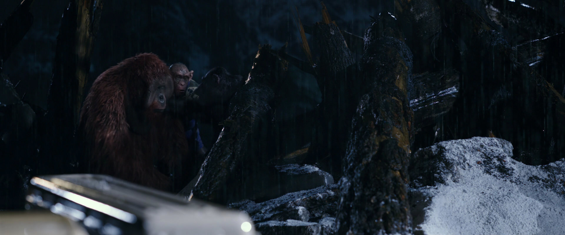 War for the Planet of the Apes (2017) screencap 11118