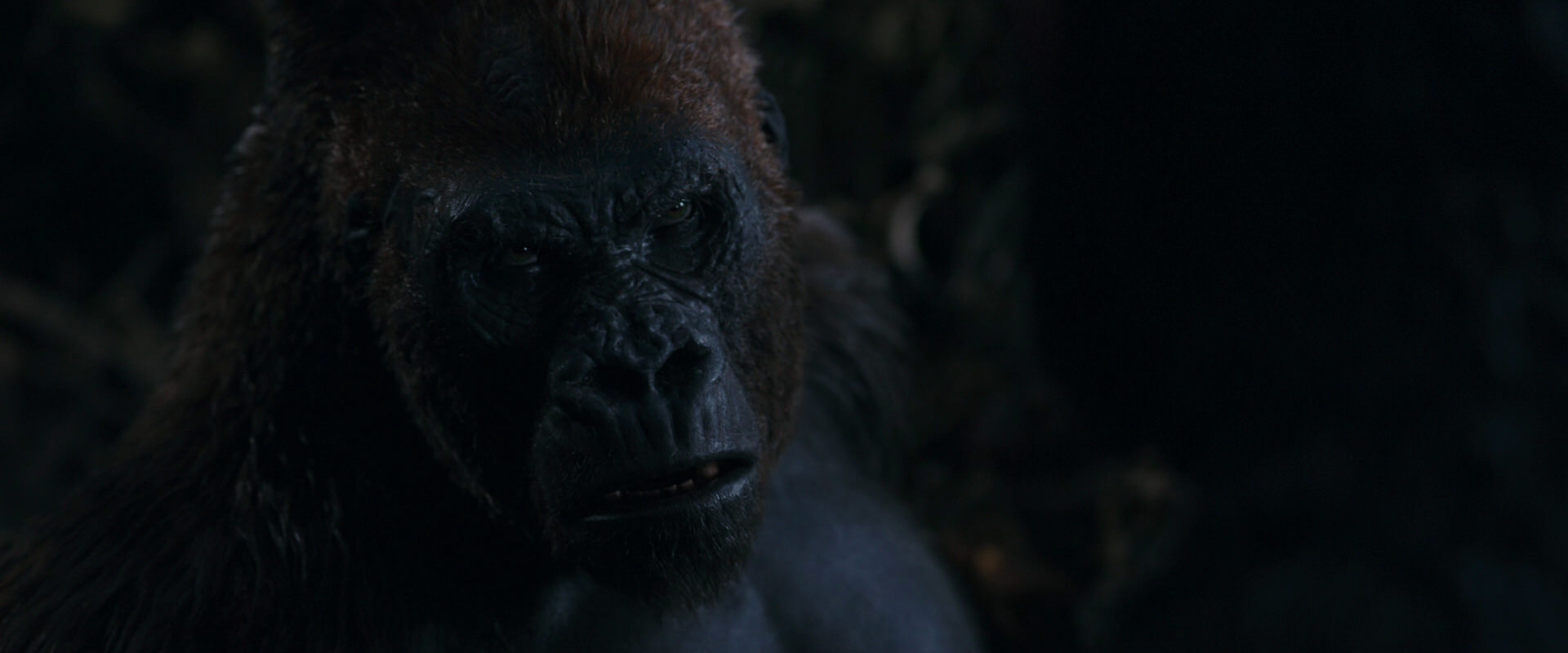 War for the Planet of the Apes (2017) HD screenshot 1112