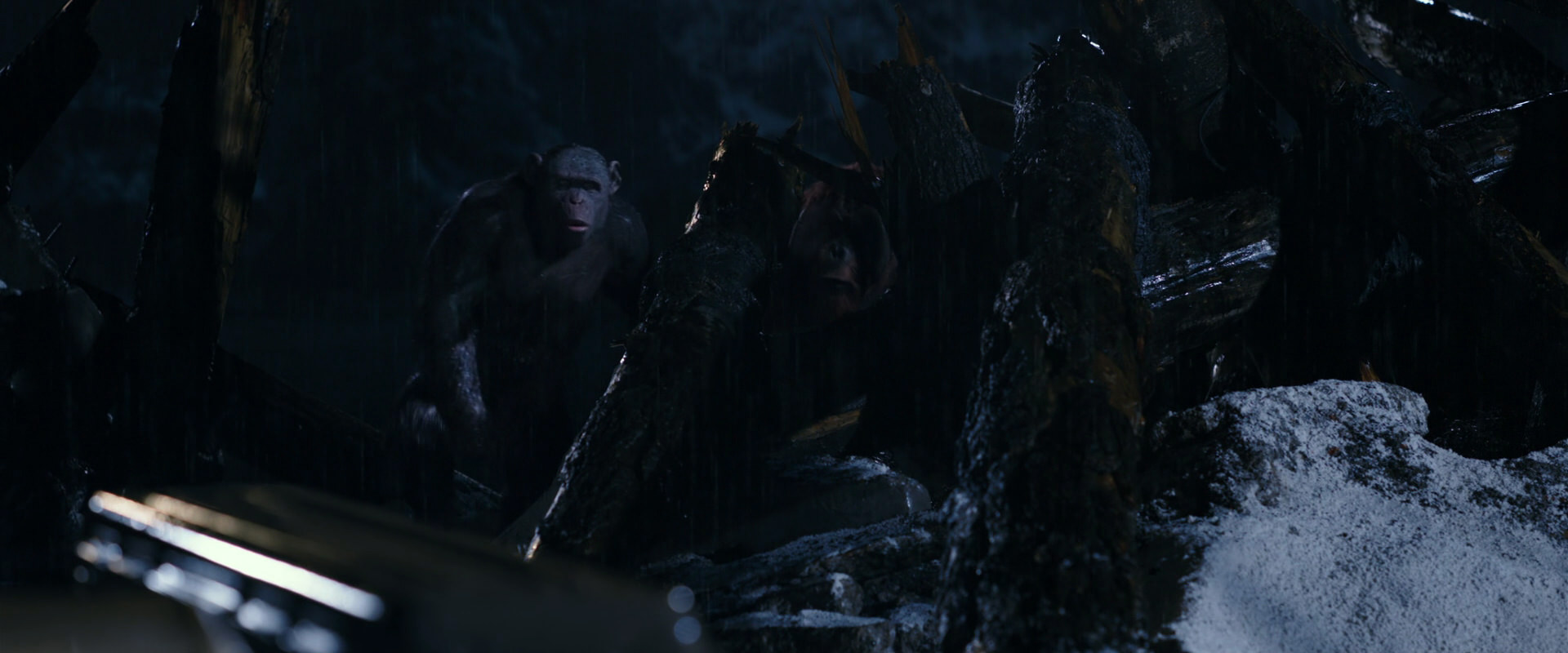 War for the Planet of the Apes (2017) movie still 11125