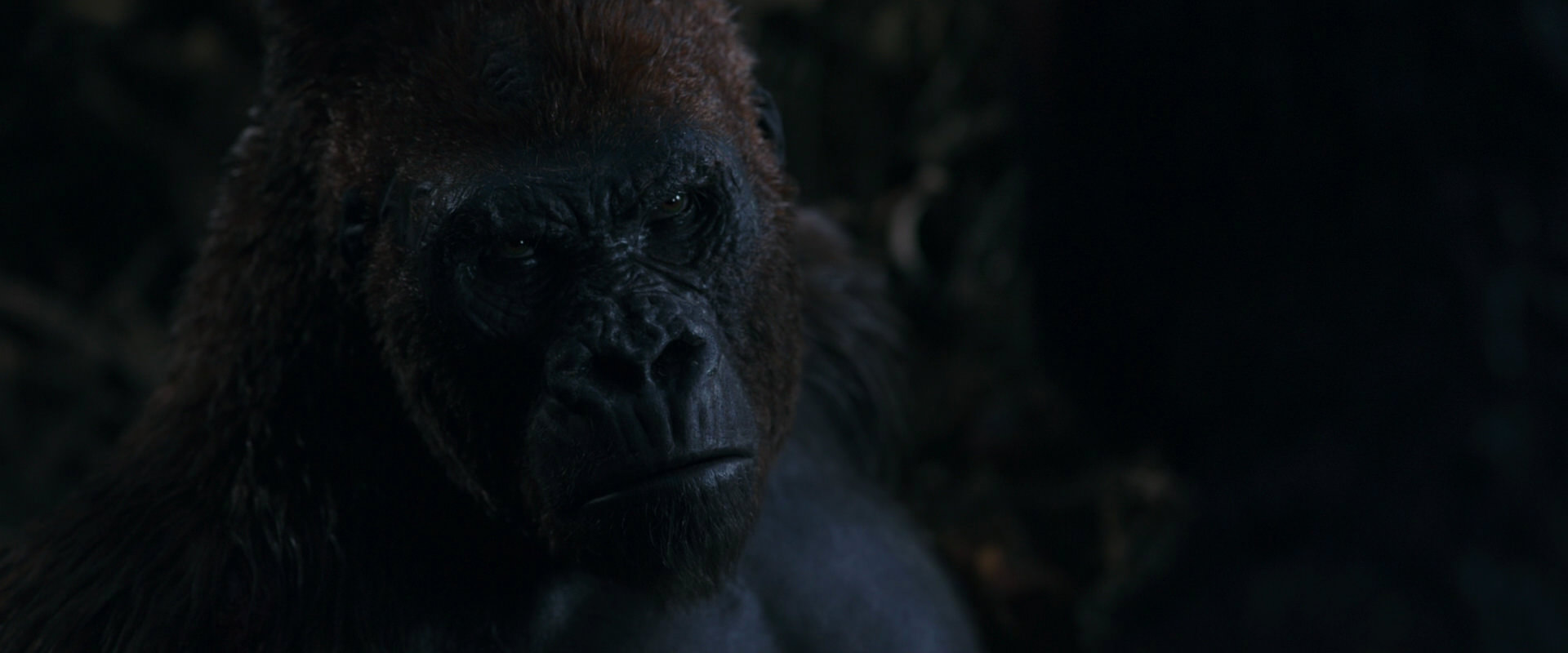 War for the Planet of the Apes (2017) screencap 1113
