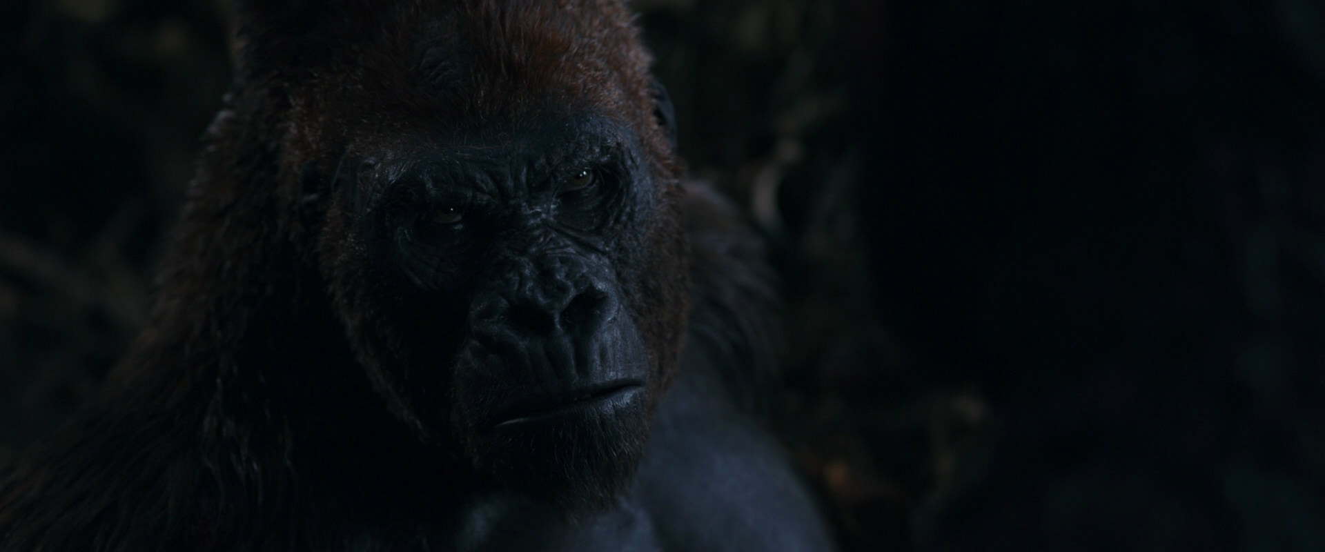 War for the Planet of the Apes (2017) movie still 1114