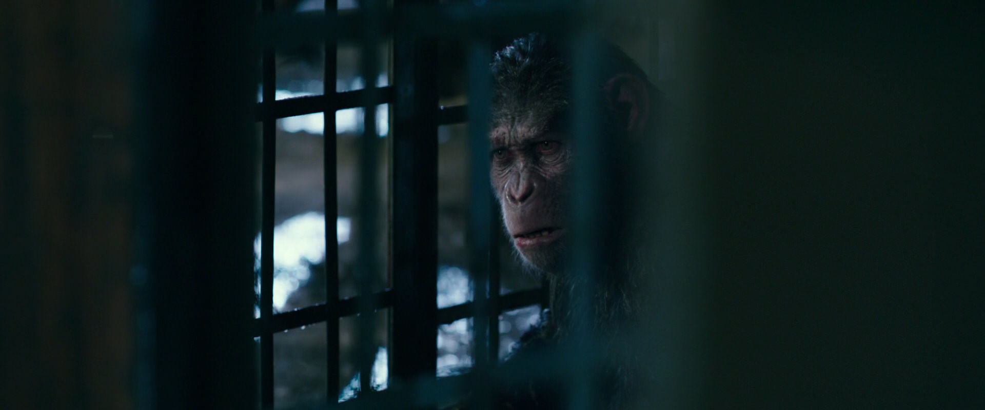 War for the Planet of the Apes (2017) screencap 11148