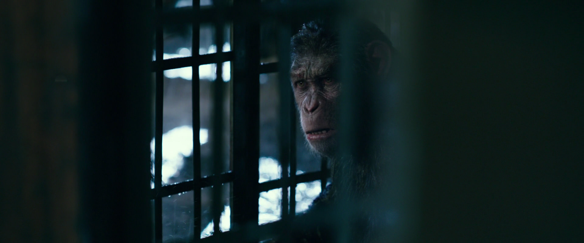 War for the Planet of the Apes (2017) movie still 11149