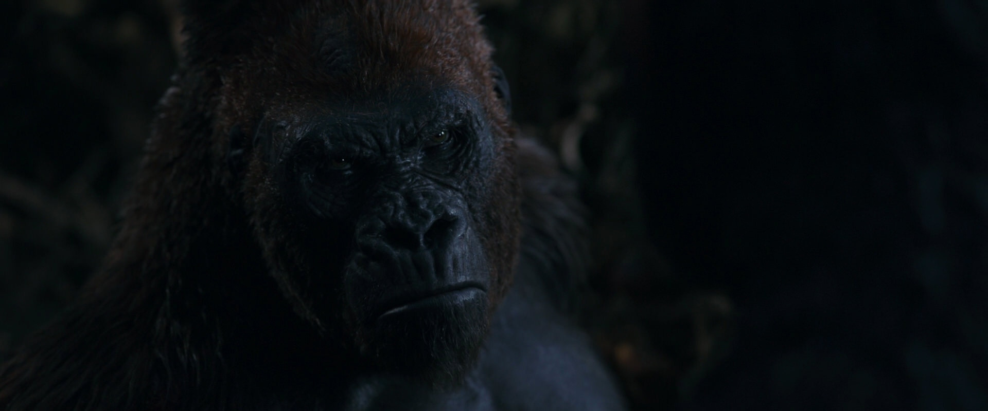 War for the Planet of the Apes (2017) HD screenshot 1115