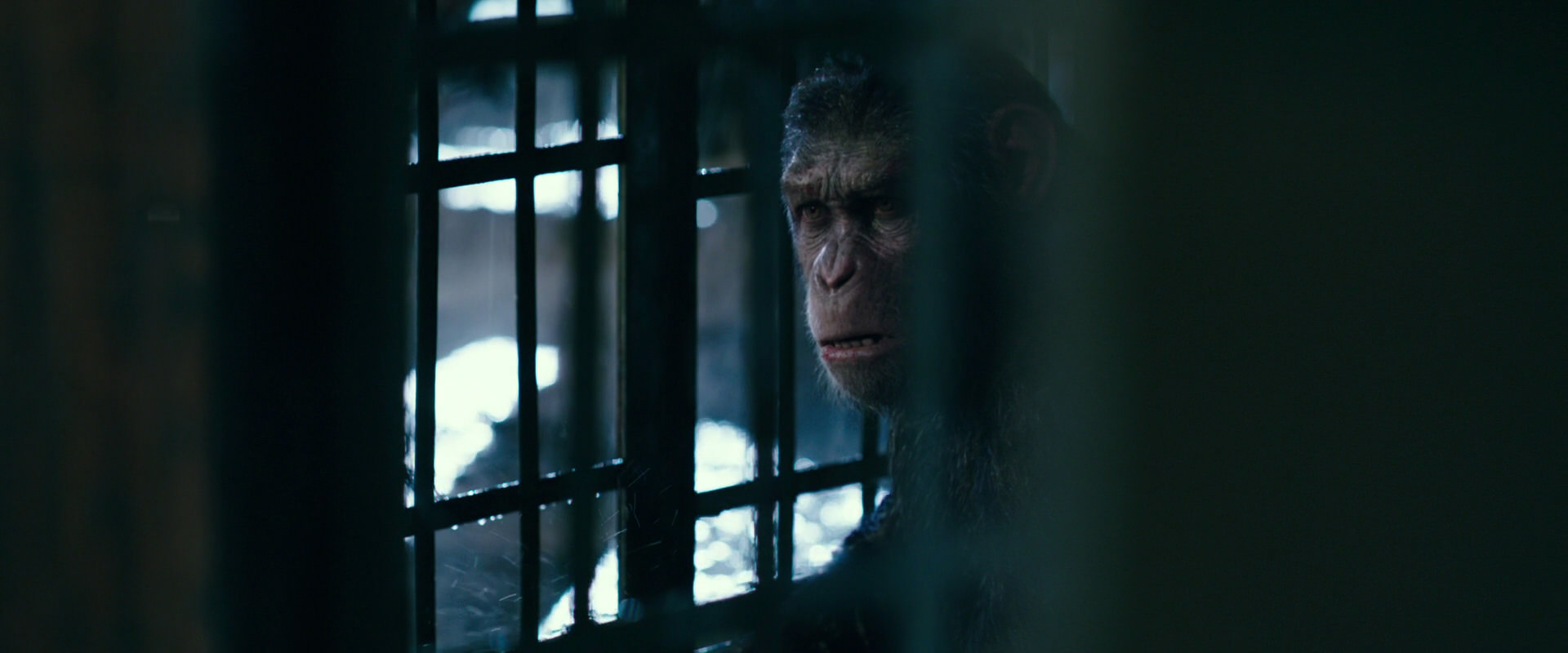 War for the Planet of the Apes (2017) HD screenshot 11150