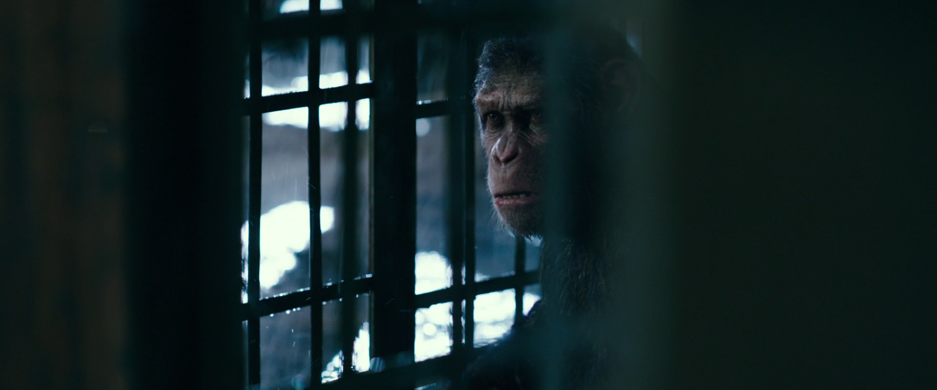 War for the Planet of the Apes (2017) screencap 11151