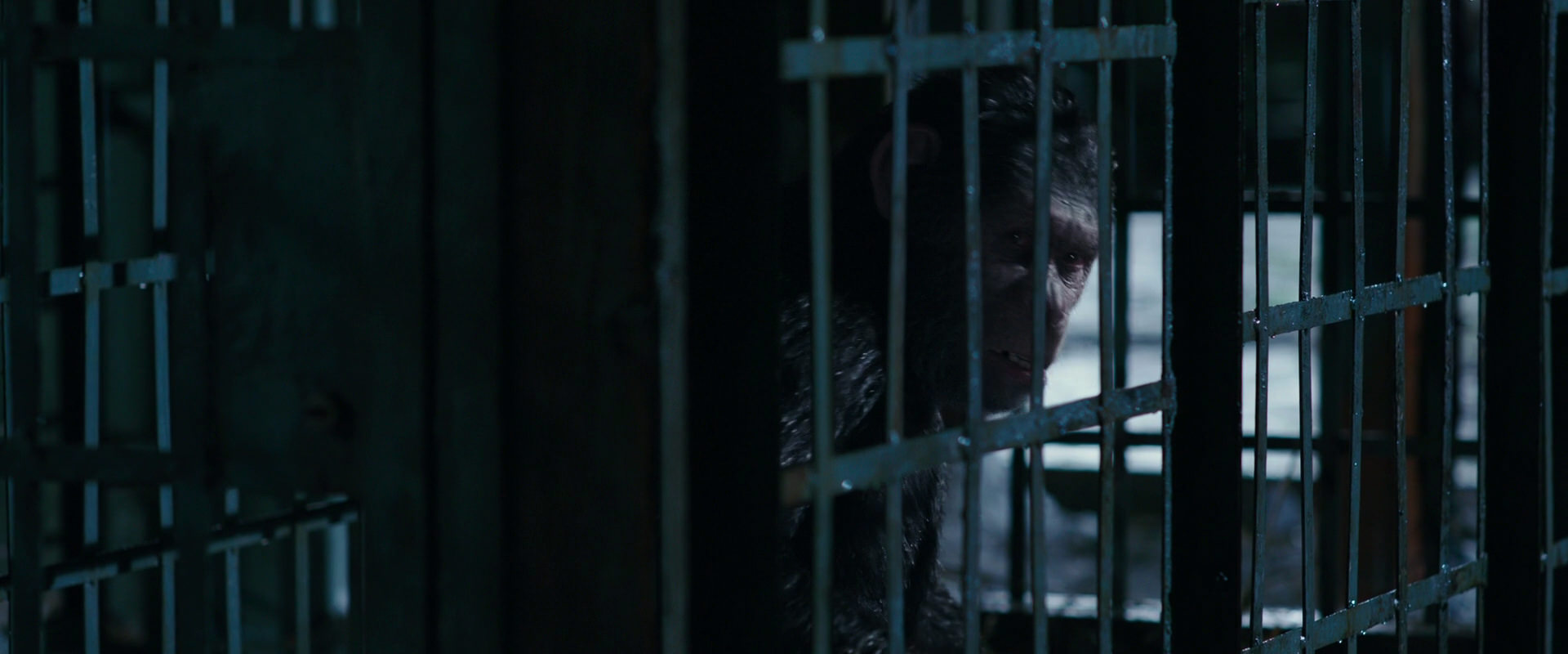 War for the Planet of the Apes (2017) movie still 11152