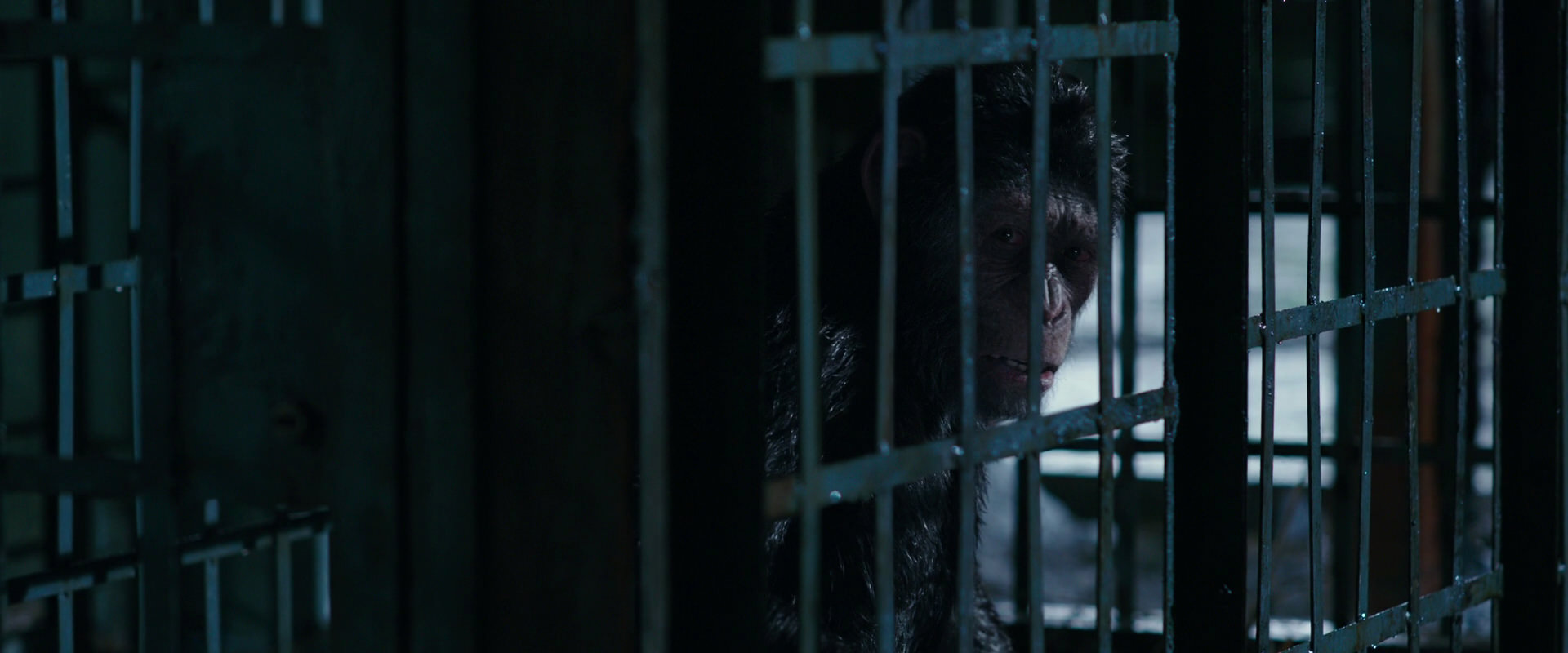 War for the Planet of the Apes (2017) HD screenshot 11153