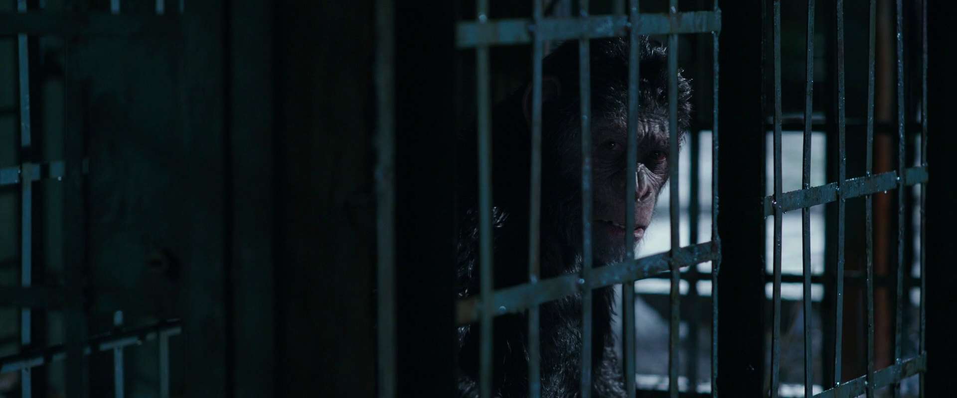 War for the Planet of the Apes (2017) screencap 11154