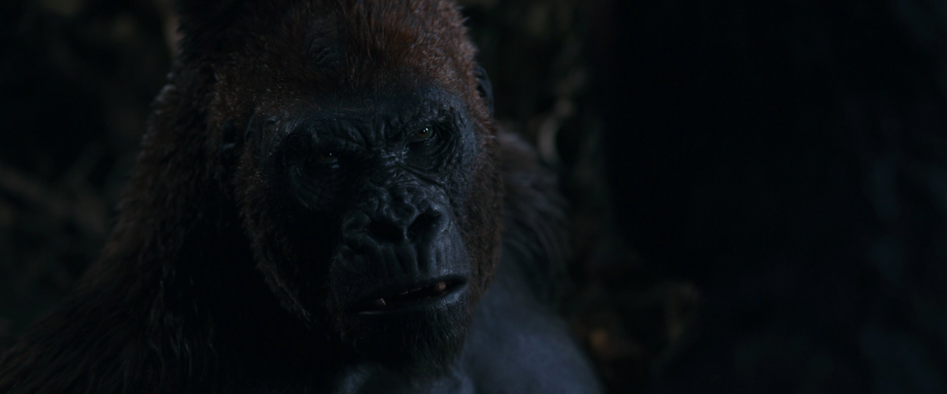 War for the Planet of the Apes (2017) screencap 1116