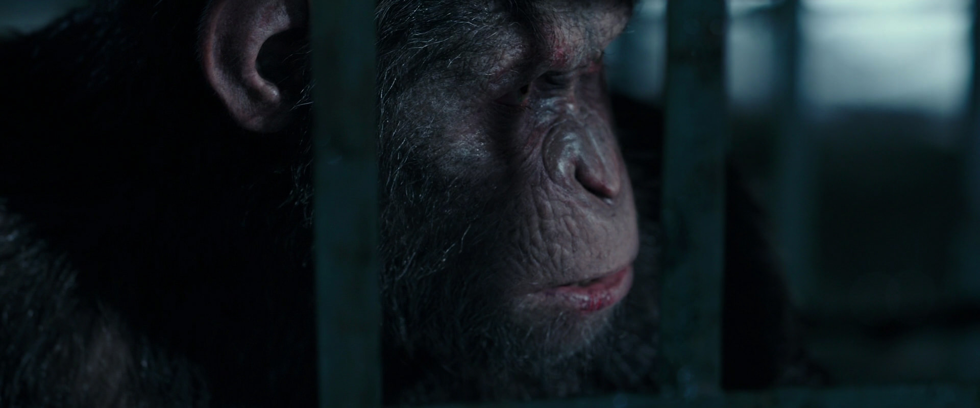 War for the Planet of the Apes (2017) screencap 11169