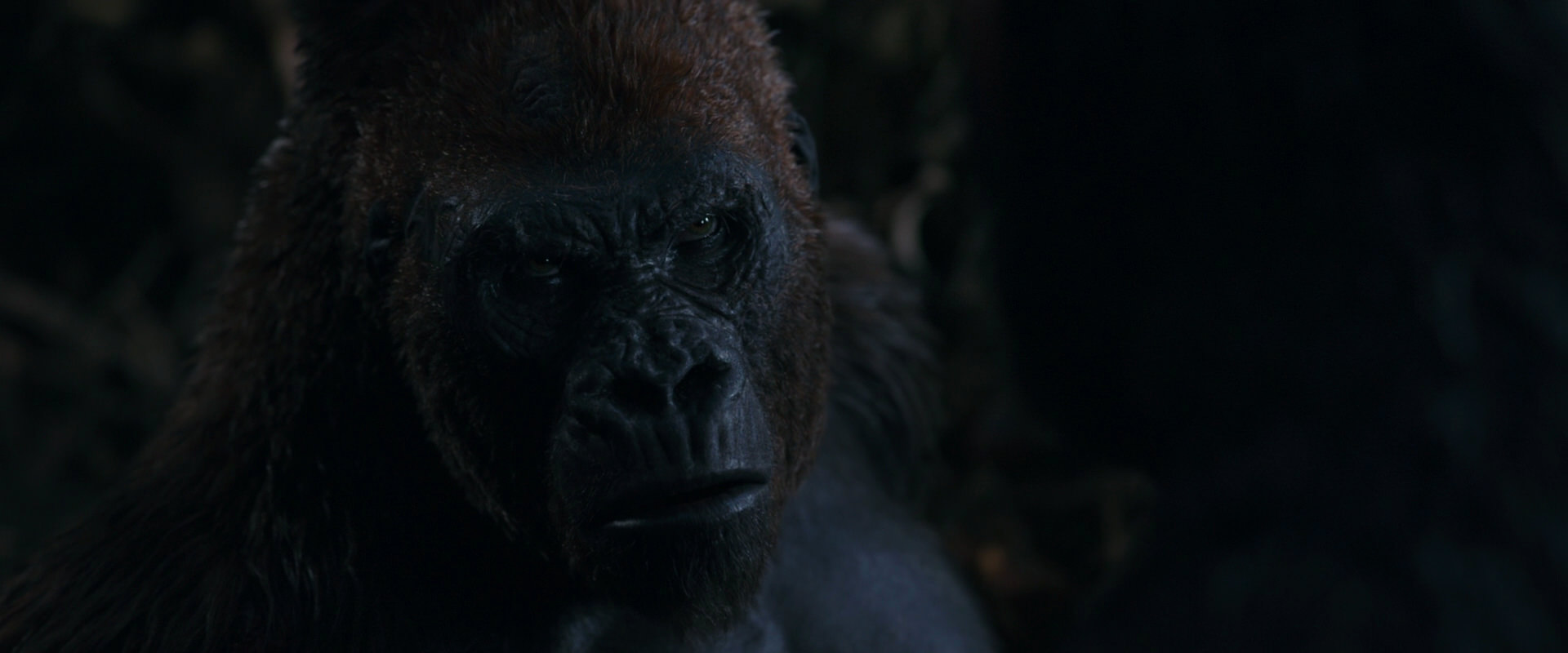 War for the Planet of the Apes (2017) movie still 1117