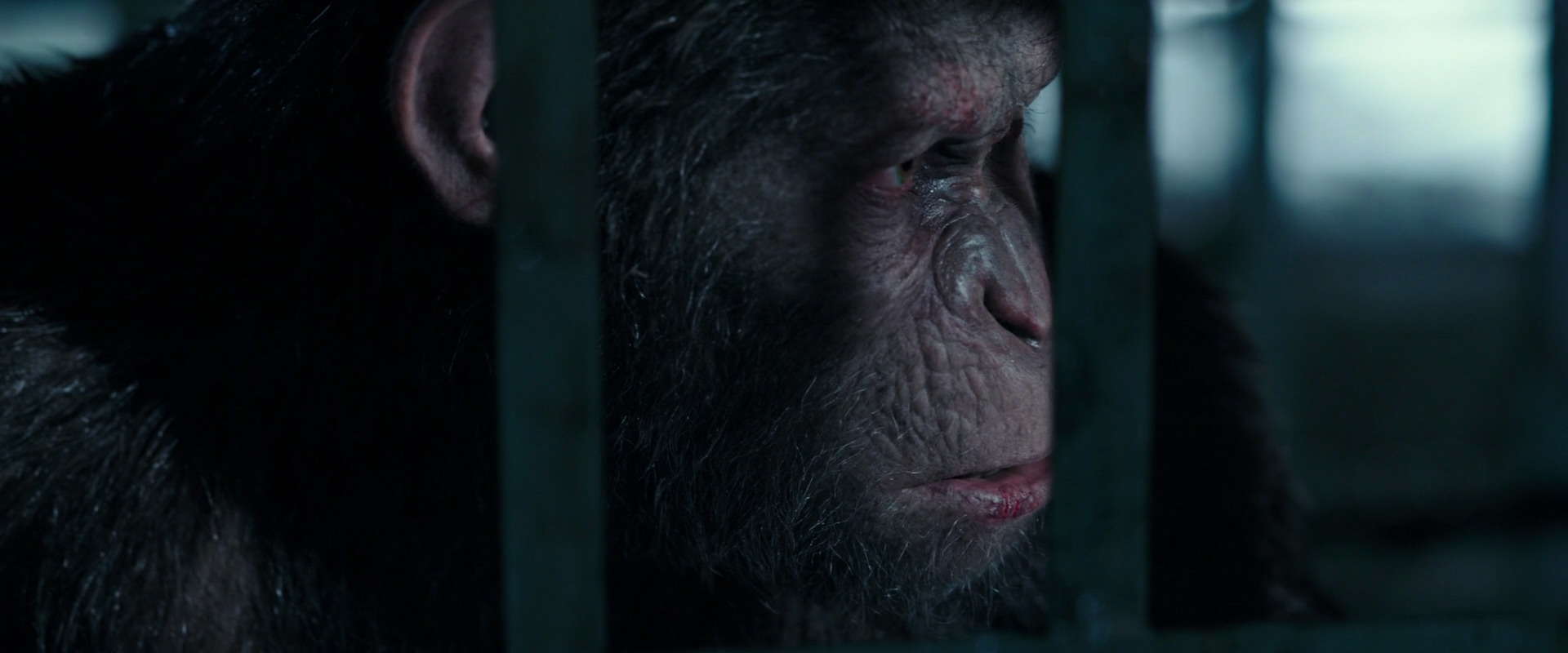 War for the Planet of the Apes (2017) movie still 11170