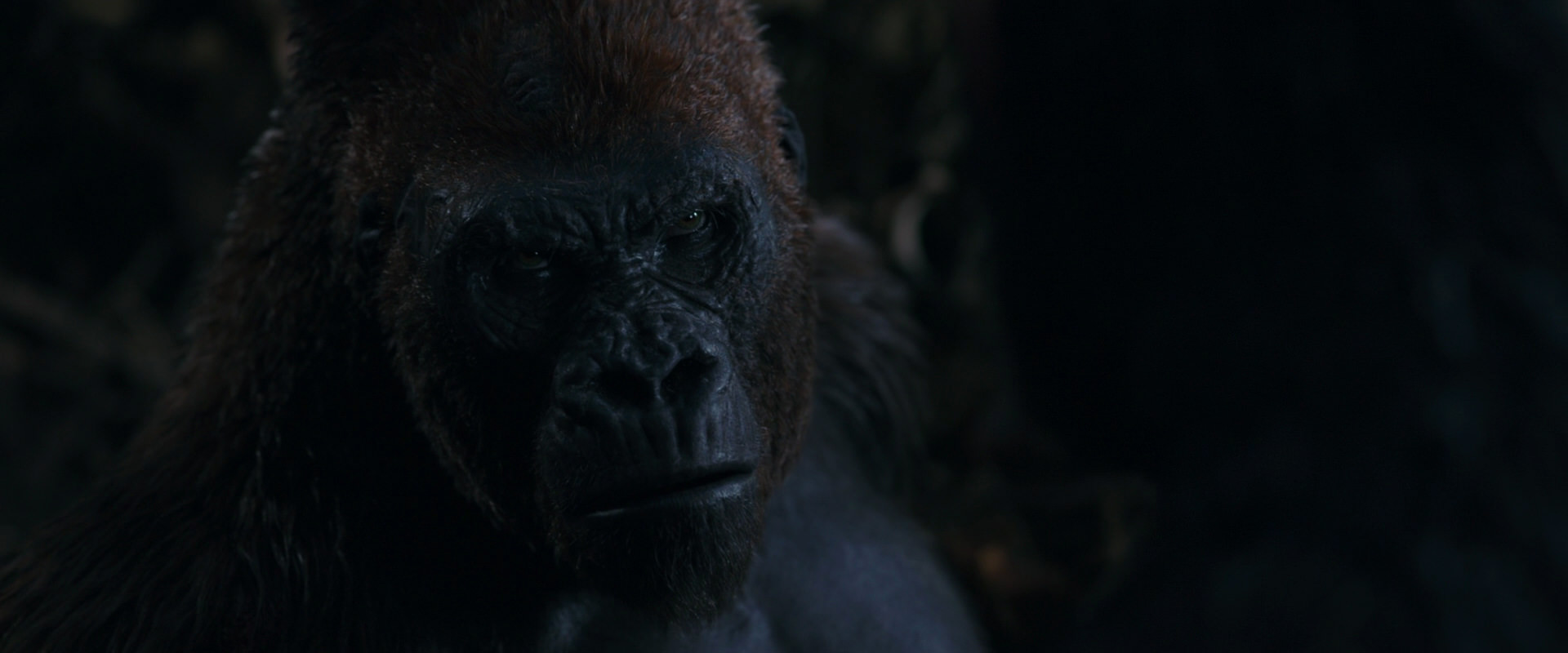 War for the Planet of the Apes (2017) HD screenshot 1118
