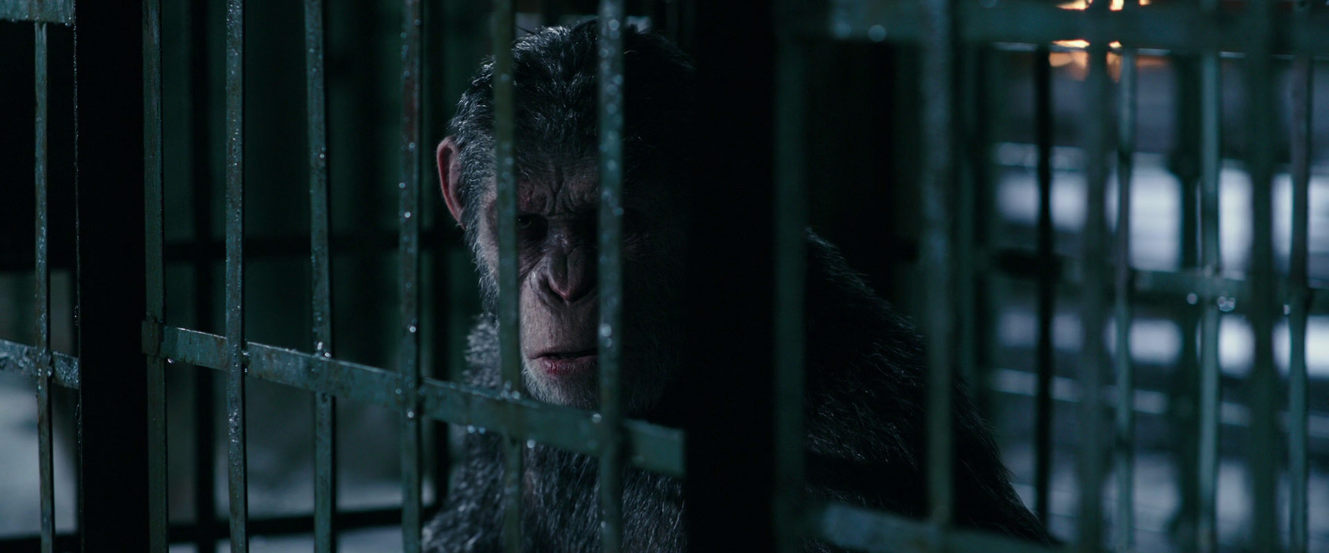War for the Planet of the Apes (2017) HD screenshot 11180