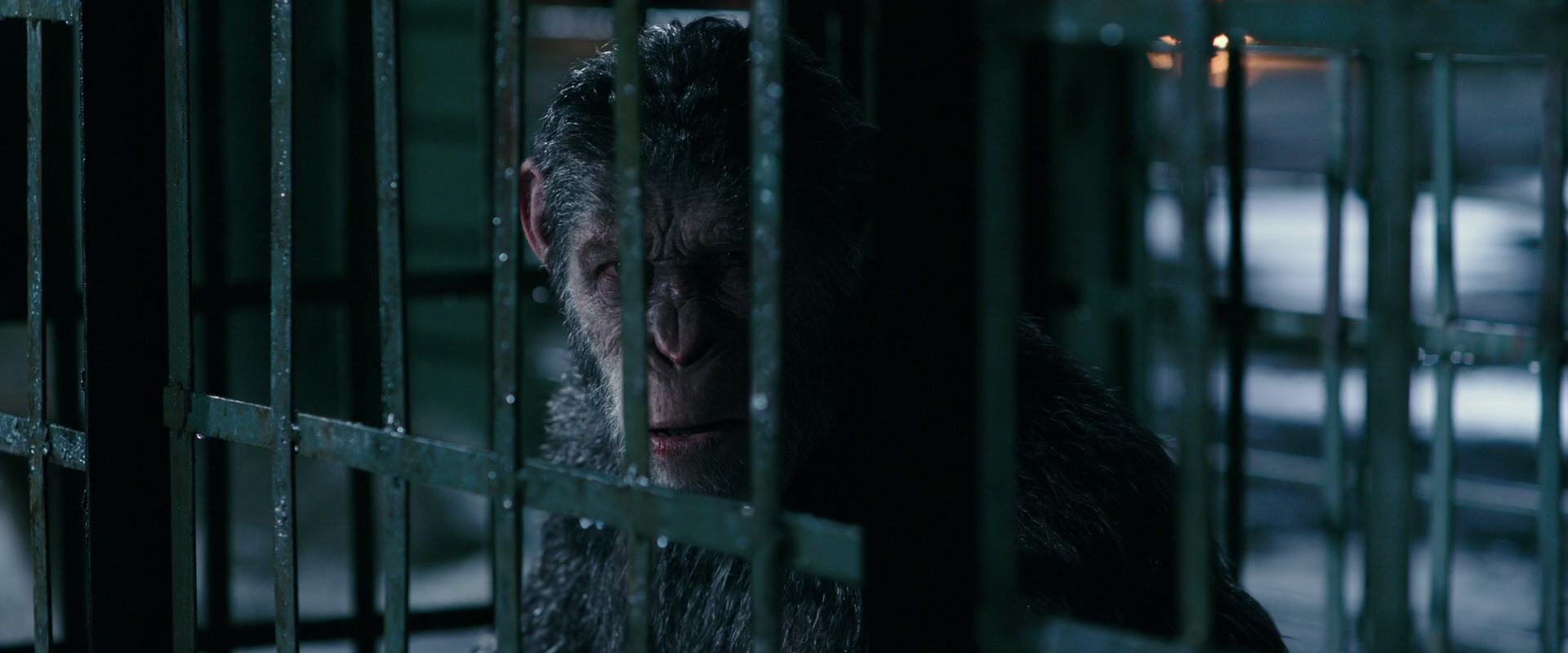 War for the Planet of the Apes (2017) screencap 11181