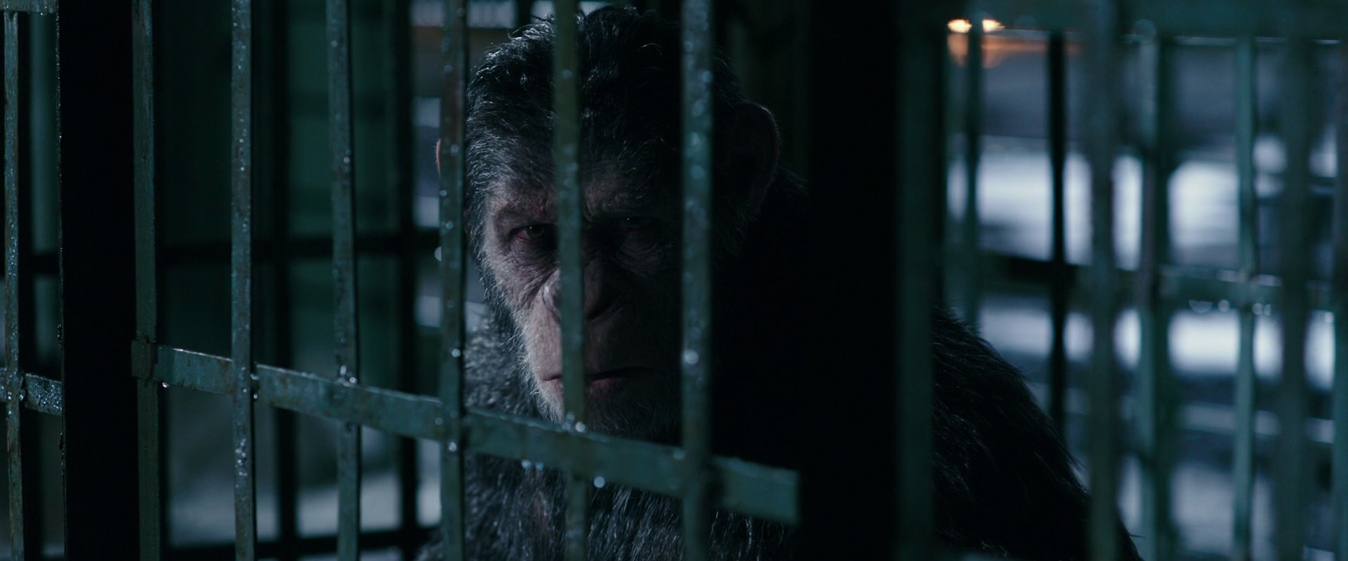 War for the Planet of the Apes (2017) movie still 11182