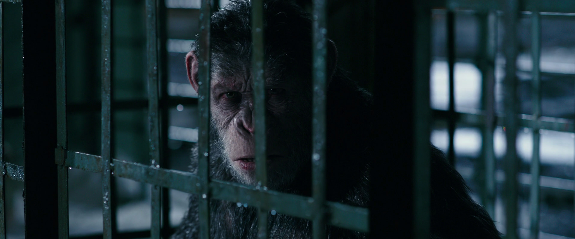 War for the Planet of the Apes (2017) HD screenshot 11183