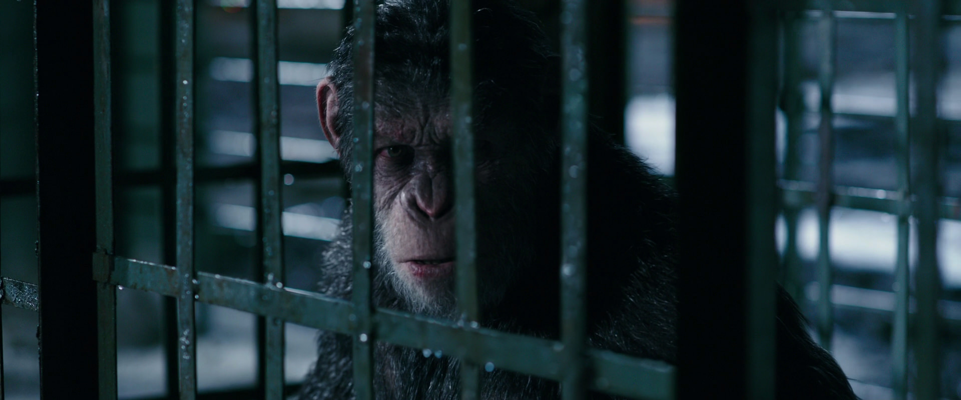 War for the Planet of the Apes (2017) screencap 11184