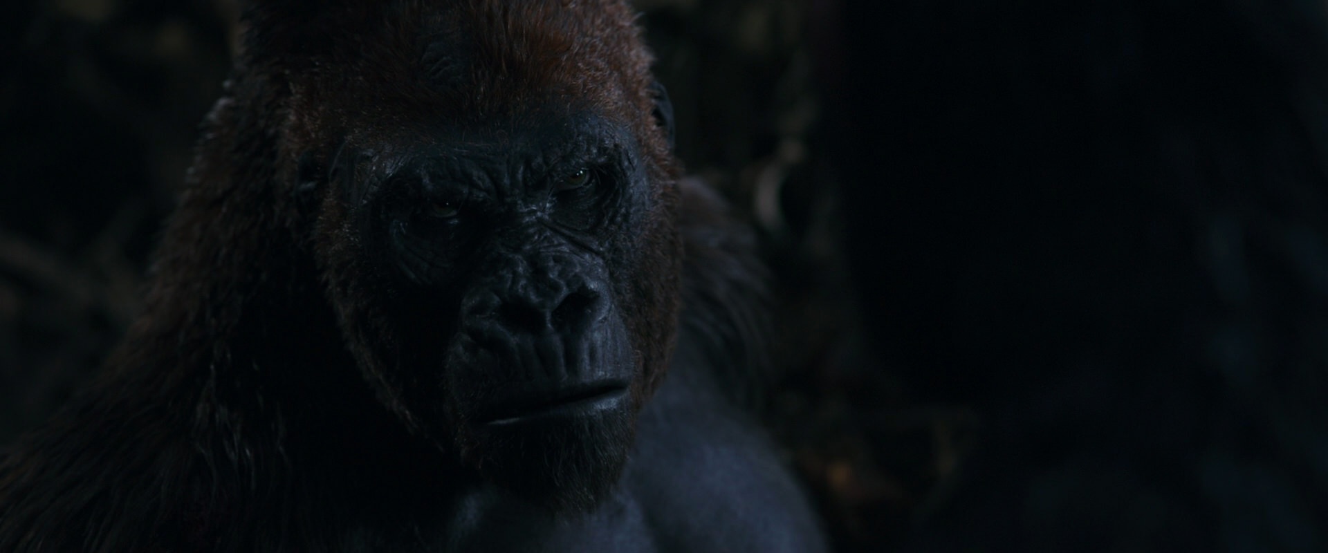 War for the Planet of the Apes (2017) screencap 1119