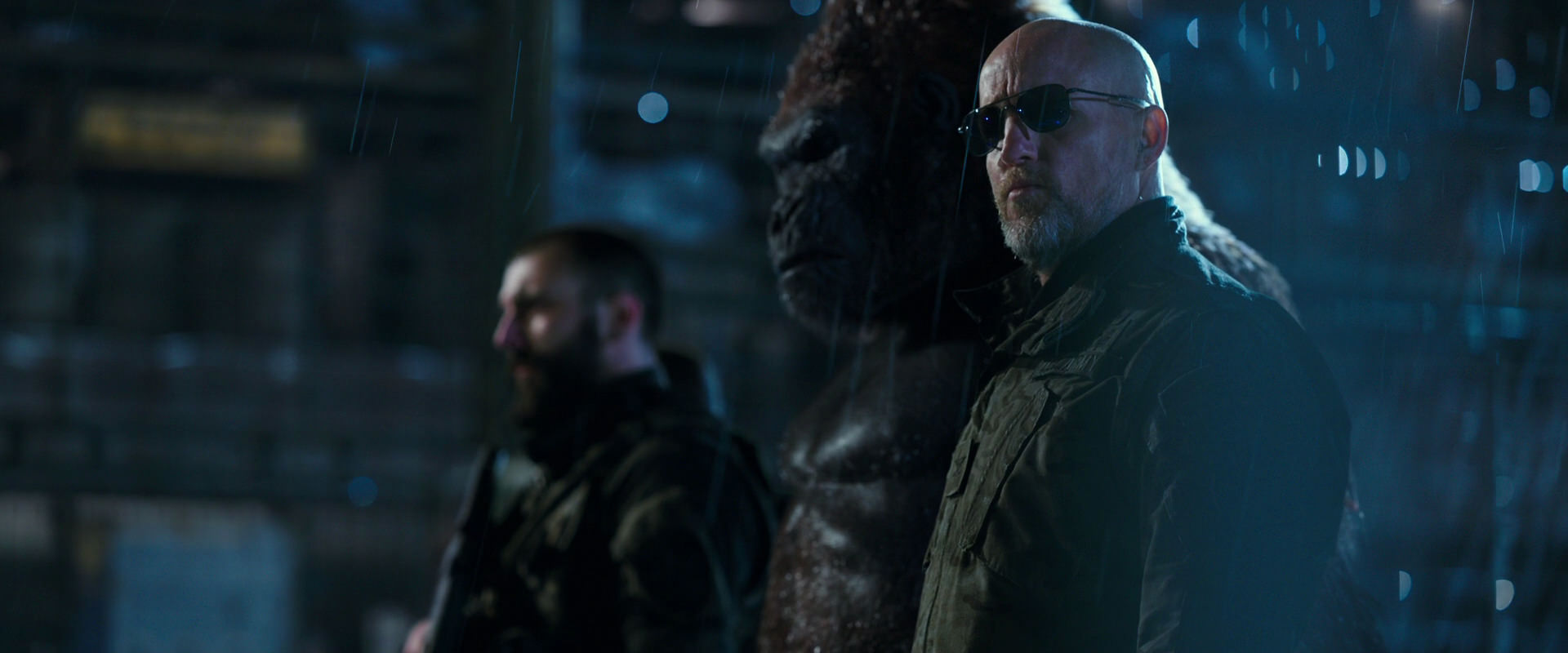 War for the Planet of the Apes (2017) screencap 11196