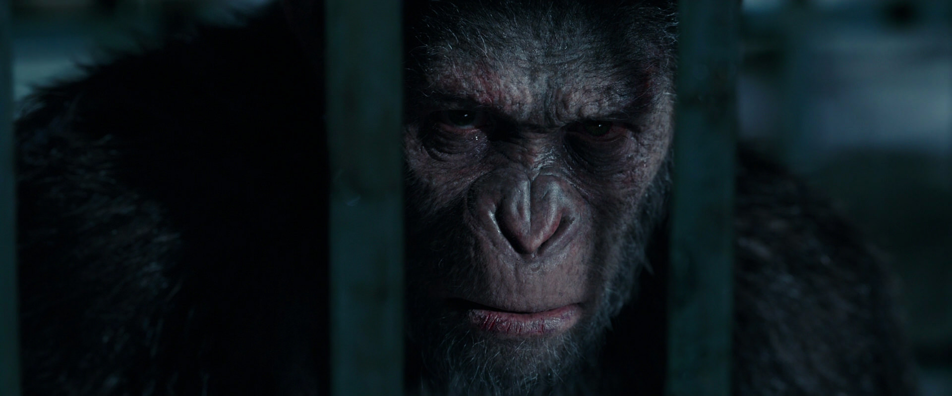 War for the Planet of the Apes (2017) HD screenshot 11198