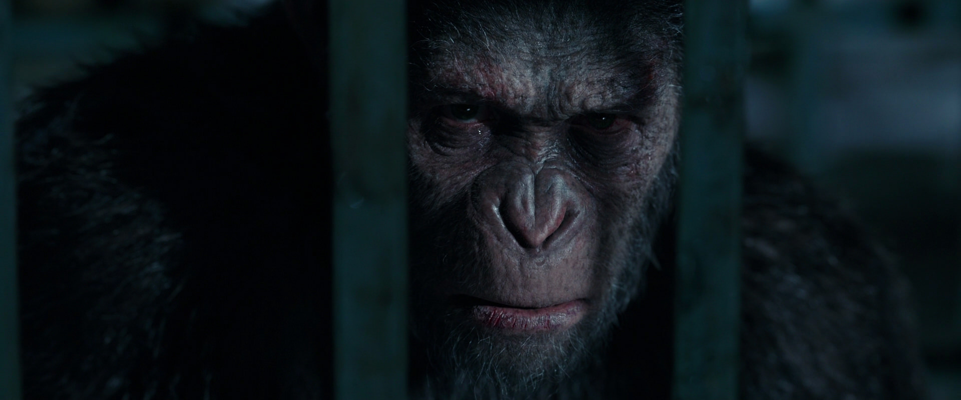 War for the Planet of the Apes (2017) screencap 11199