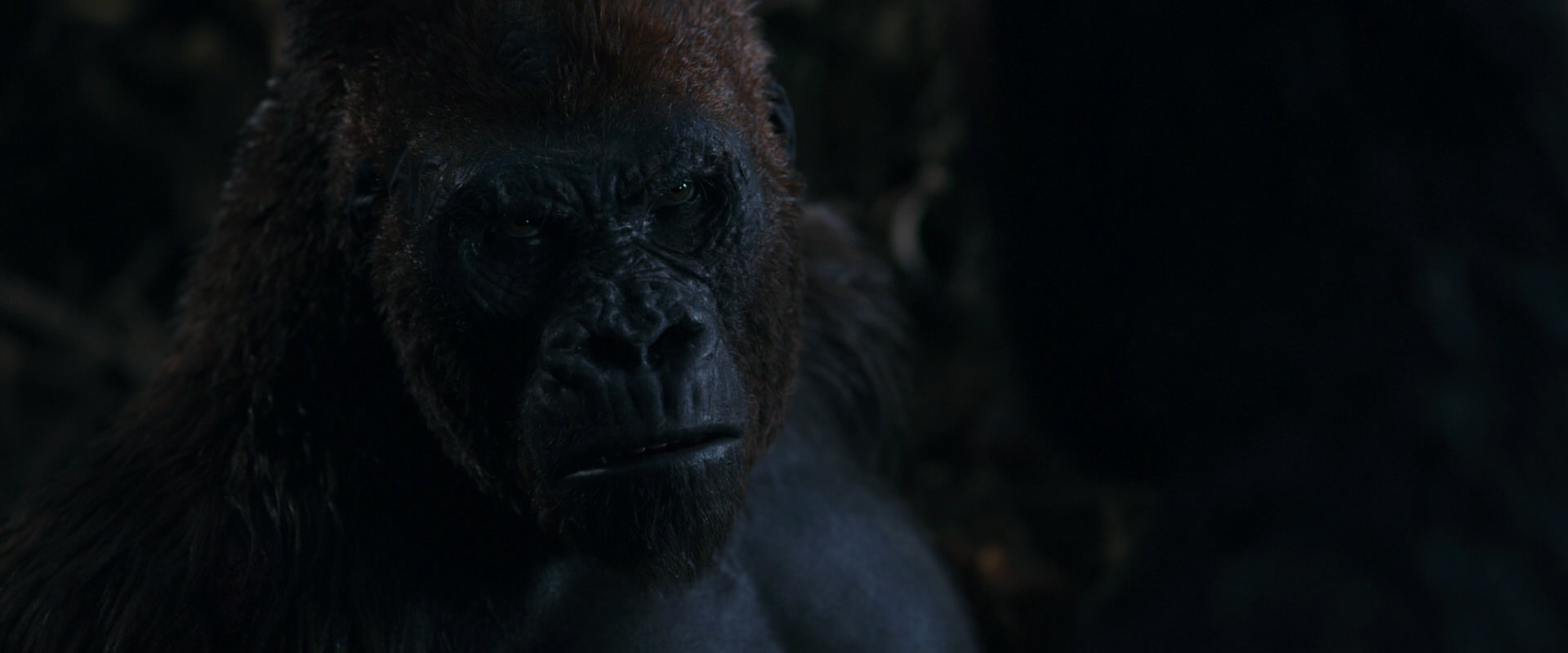 War for the Planet of the Apes (2017) movie still 1120