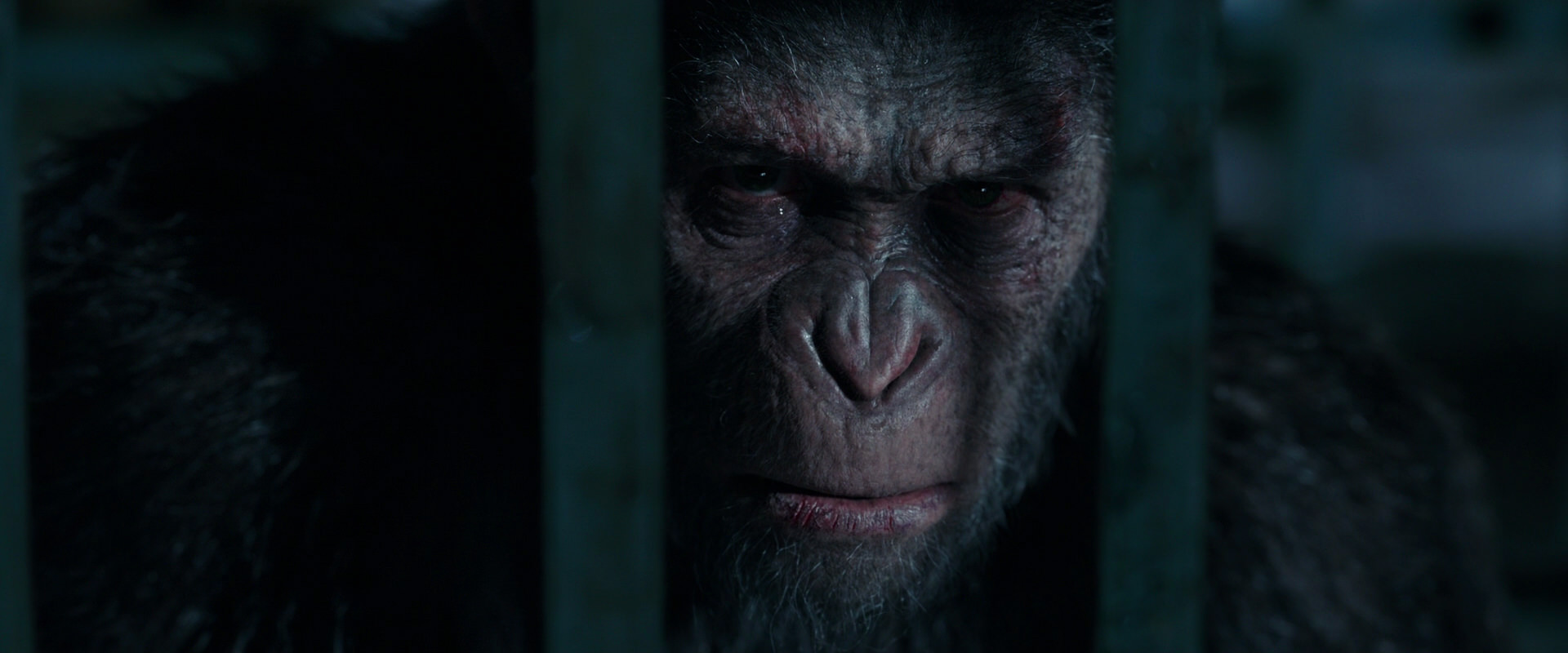 War for the Planet of the Apes (2017) movie still 11200
