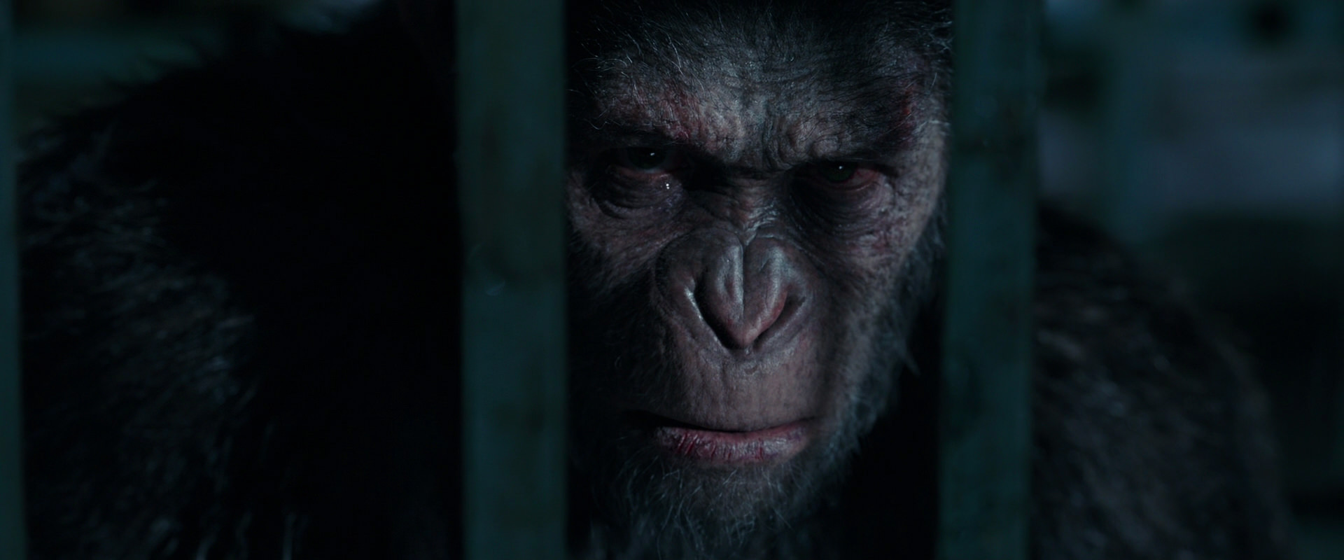 War for the Planet of the Apes (2017) HD screenshot 11201