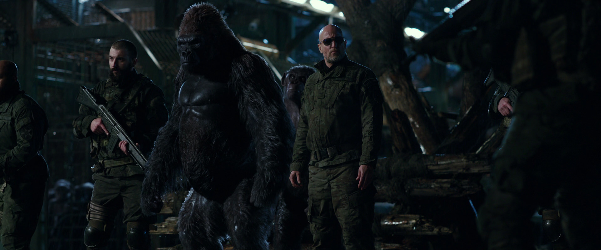 War for the Planet of the Apes (2017) screencap 11202